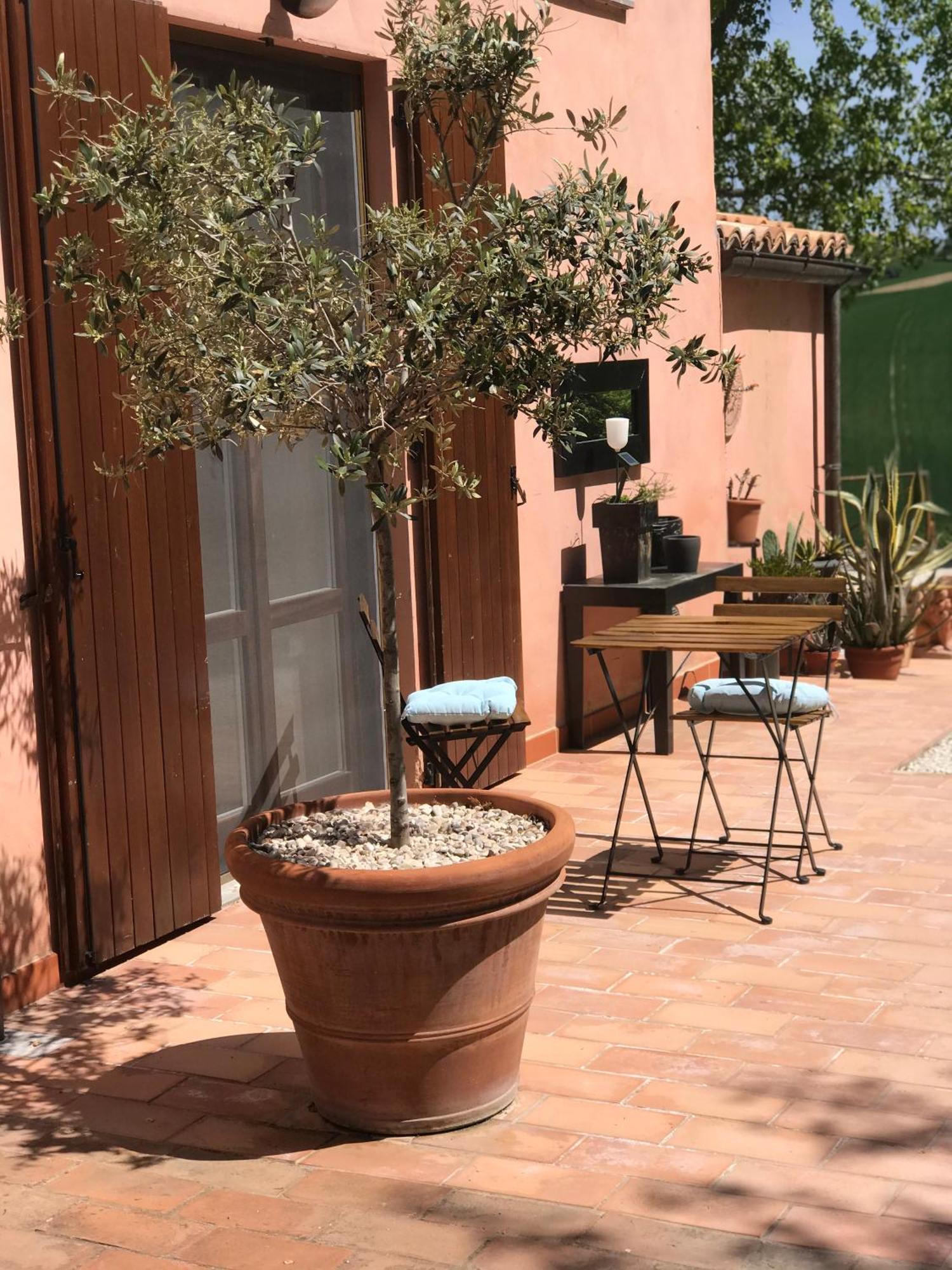 Bed and Breakfast Il Posto Perfetto Santa Maria Nuova  Экстерьер фото